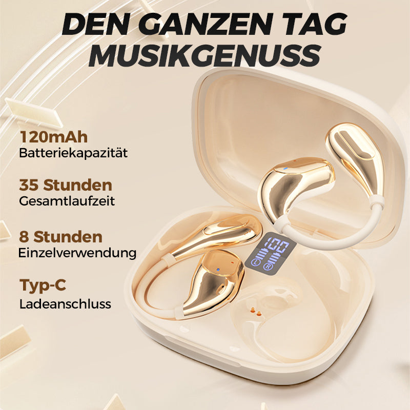 ⏳Begrenzte Zeit 64% Rabatt💥Wasserdichte HiFi-Bluetooth-Kopfhörer mit Ohrbügel🎧