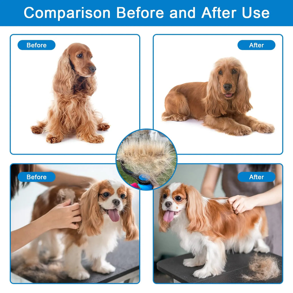 ⏰🔥 Professional Pet Shedding Comb – Effectively Removes Loose Hair – Pay on Delivery 🐾✅